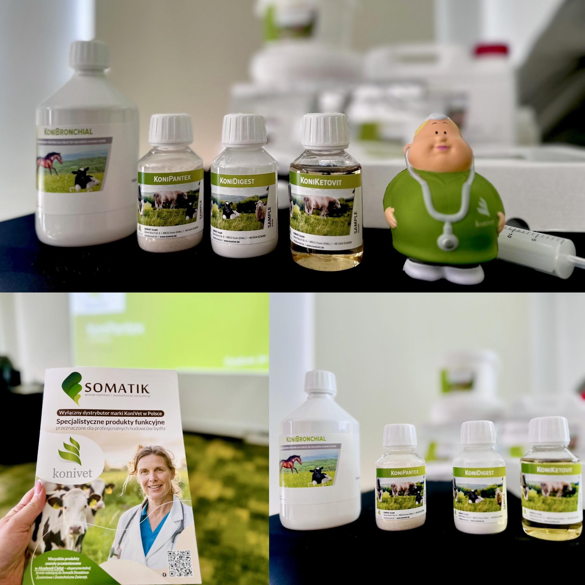 Szkolenie z produktów marki Konivet - Somatik