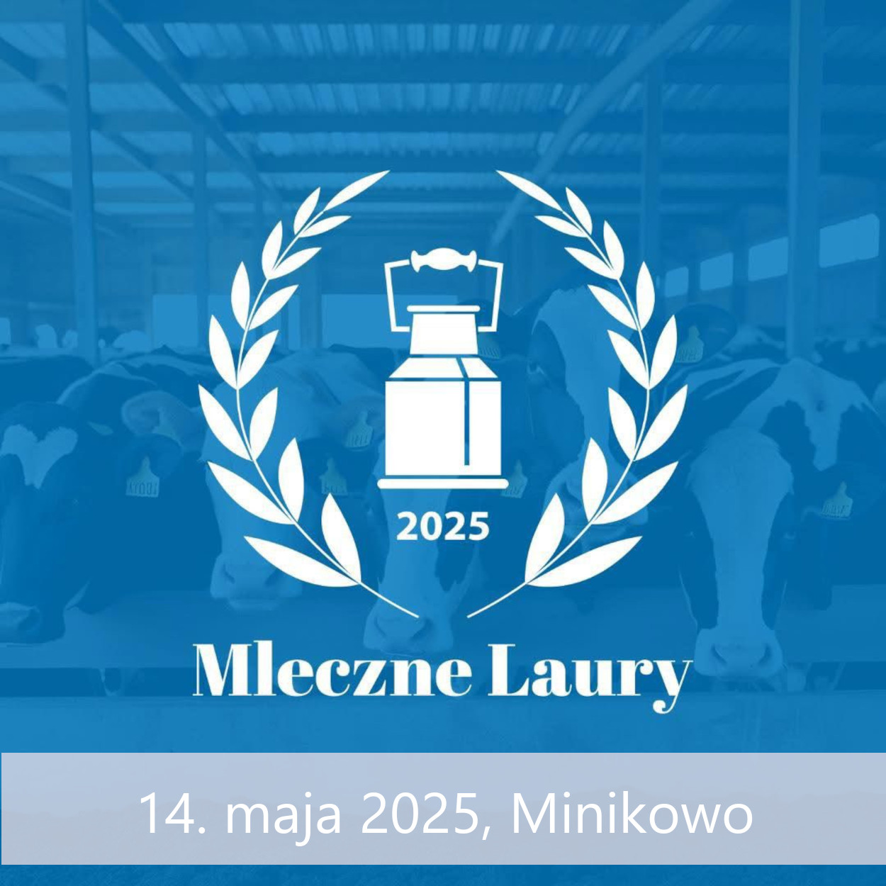Mleczne Laury 2025